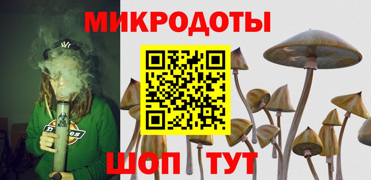 Псилоцибиновые грибы Cubensis  Вход с VPN  Псилоцибиновые грибы GOLDEN TEACHER  Кимовск 